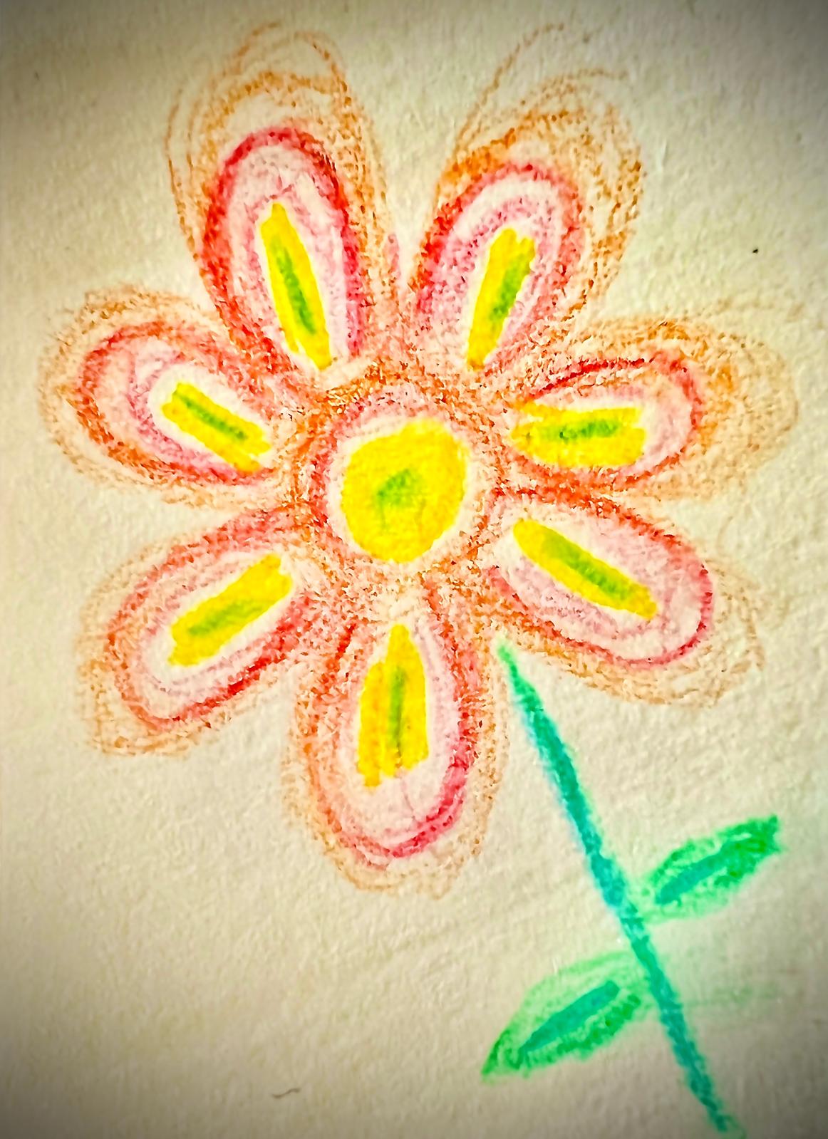 Flower drawing